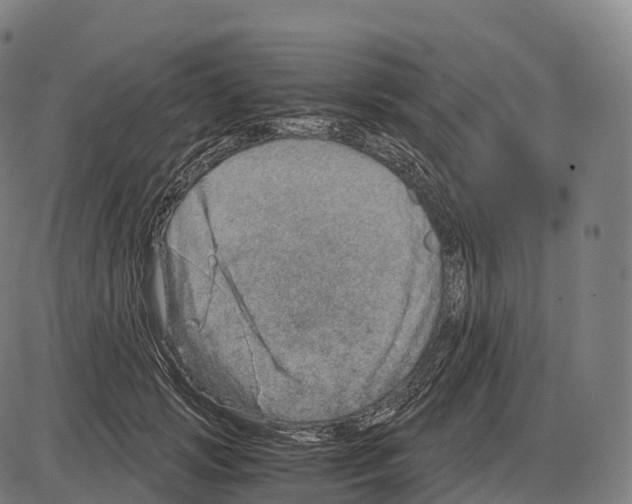 X0000084000749200703161648