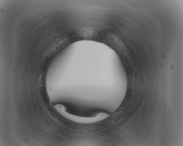 X0000084000750200703161648