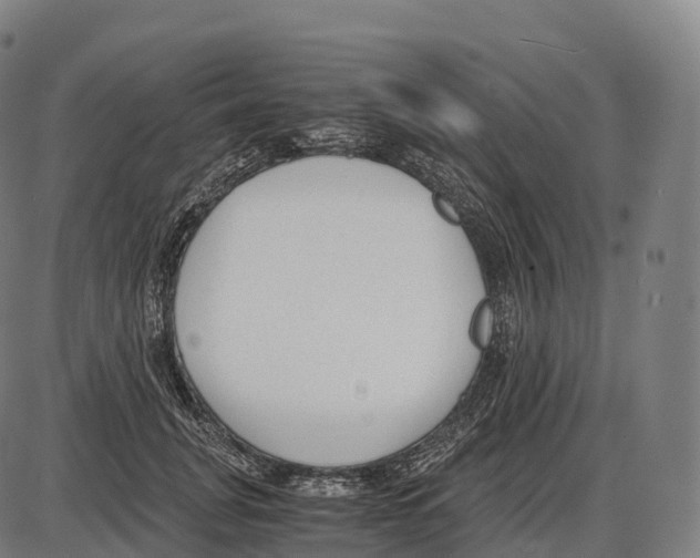 X0000084000751200703161648