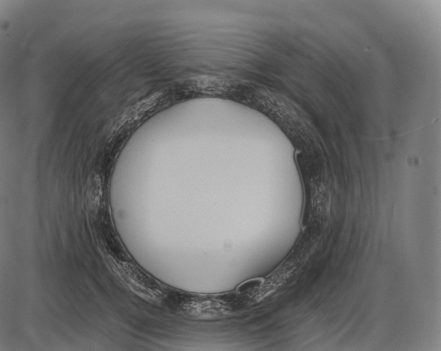 X0000084000752200703161648