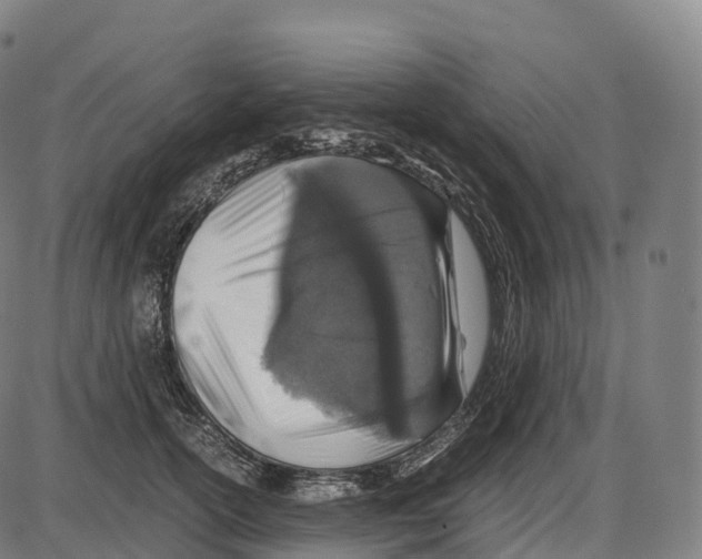 X0000084000754200703161648