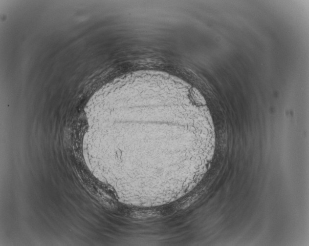 X0000084000757200703161648