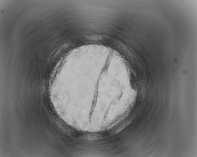 X0000084000758200703161648