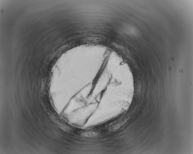 X0000084000759200703161648