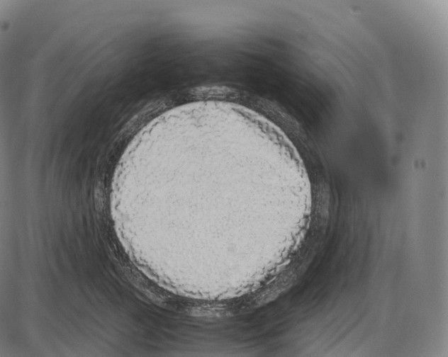 X0000084000761200703161648