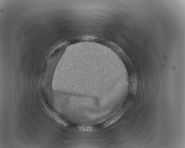 X0000084000762200703161648