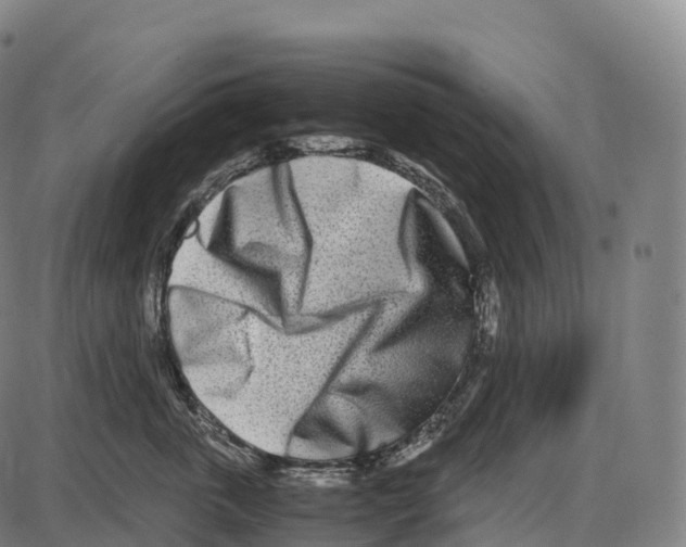 X0000084000763200703161648