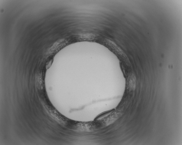 X0000084000764200703161648