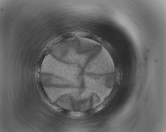 X0000084000766200703161648