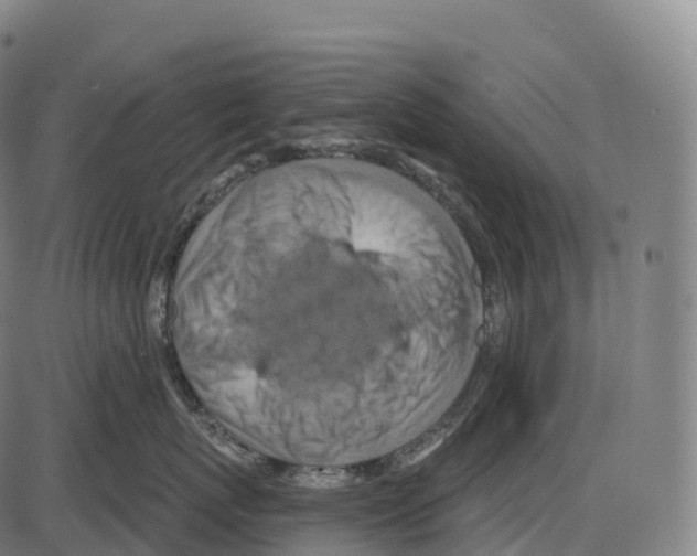 X0000084000767200703161648