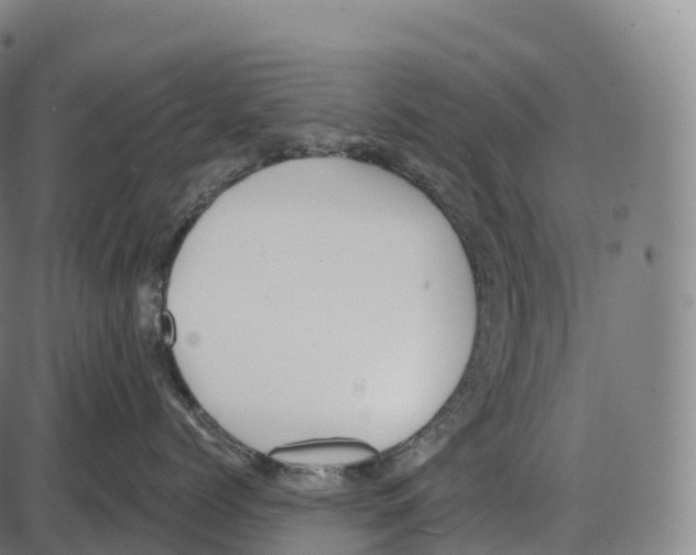 X0000084000768200703161648