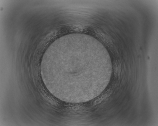 X0000084000769200703161647