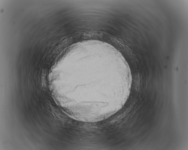 X0000084000770200703161647