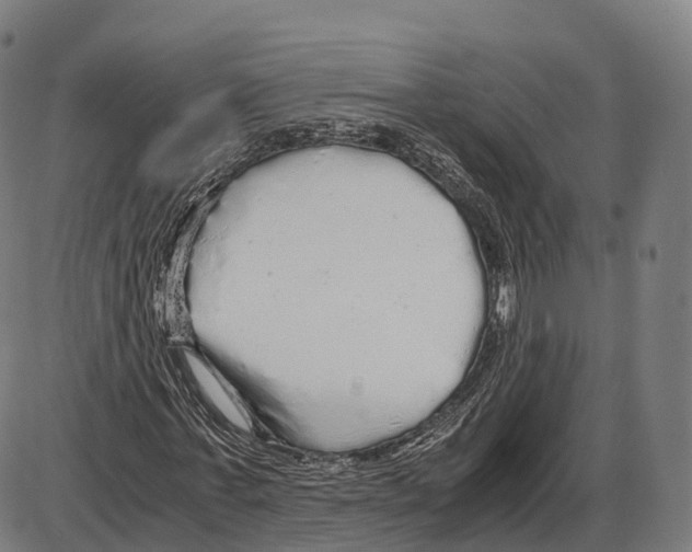 X0000084000771200703161647