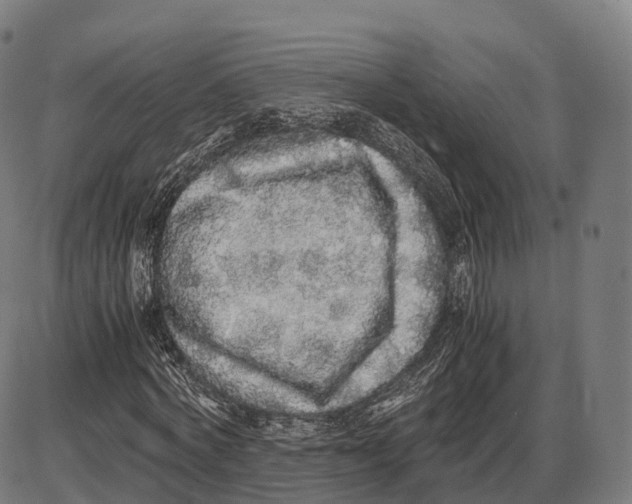 X0000084000772200703161647