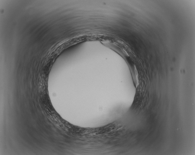 X0000084000773200703161647