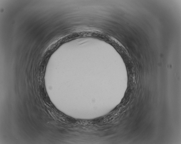 X0000084000775200703161647