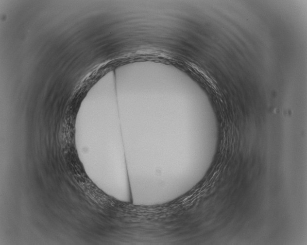 X0000084000776200703161647