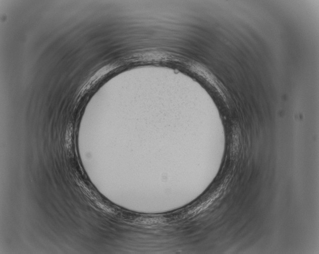 X0000084000778200703161647