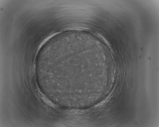 X0000084000779200703161647