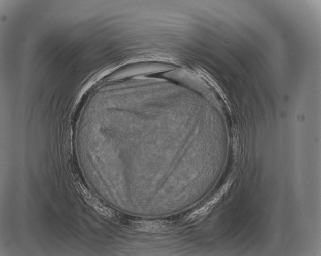 X0000084000781200703161647