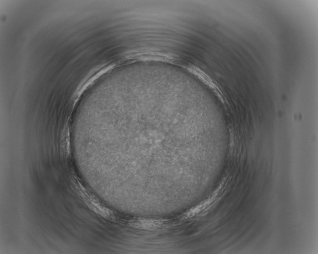 X0000084000782200703161647