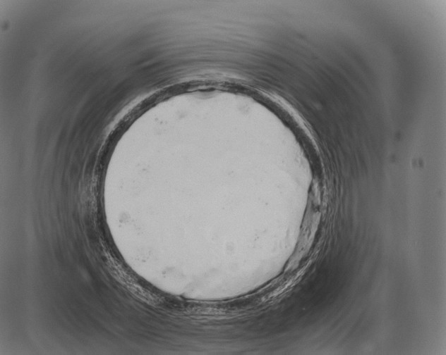 X0000084000783200703161647