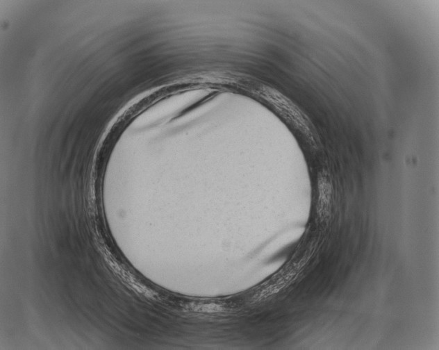 X0000084000784200703161647