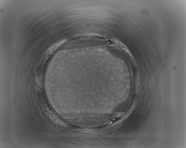 X0000084000785200703161647