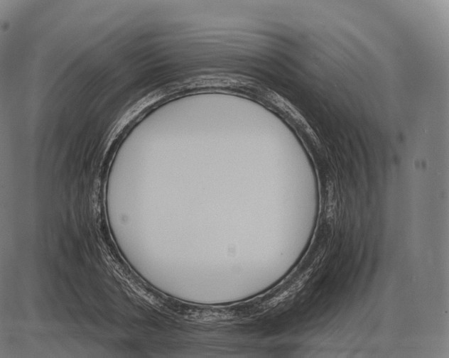 X0000084000786200703161647