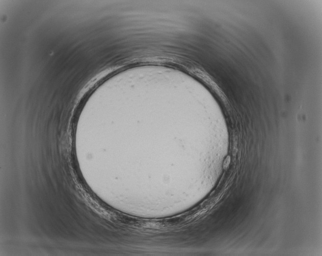 X0000084000787200703161647