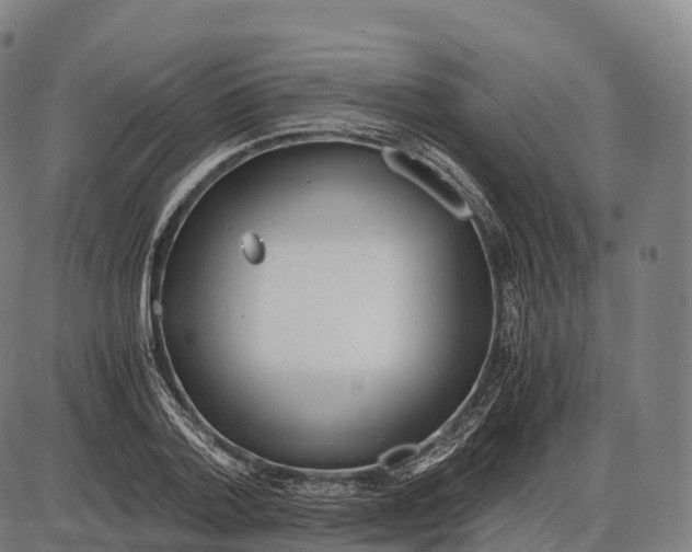 X0000084000788200703161647