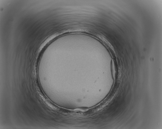 X0000084000789200703161647