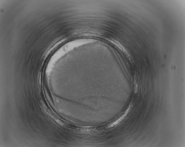 X0000084000790200703161647