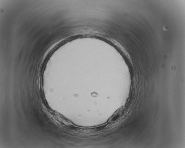 X0000084000791200703161647