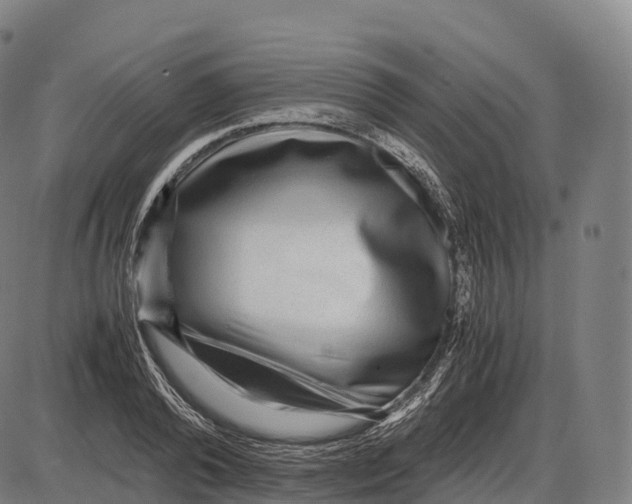 X0000084000792200703161647