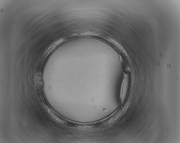 X0000084000793200703161647