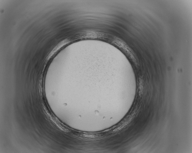 X0000084000794200703161647