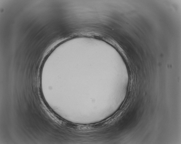 X0000084000795200703161647