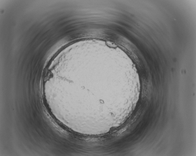 X0000084000796200703161647