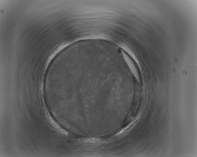 X0000084000797200703161647