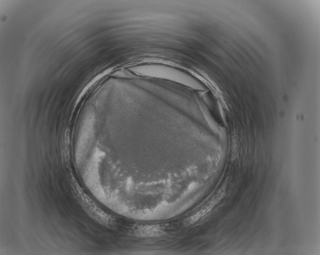 X0000084000798200703161647