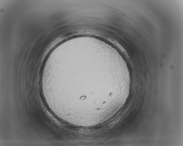 X0000084000799200703161647