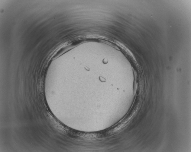 X0000084000801200703161647