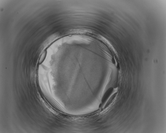 X0000084000802200703161647