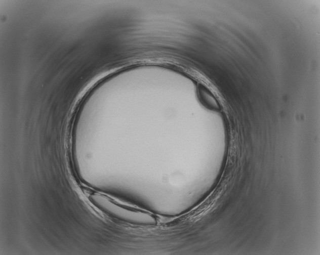 X0000084000803200703161647