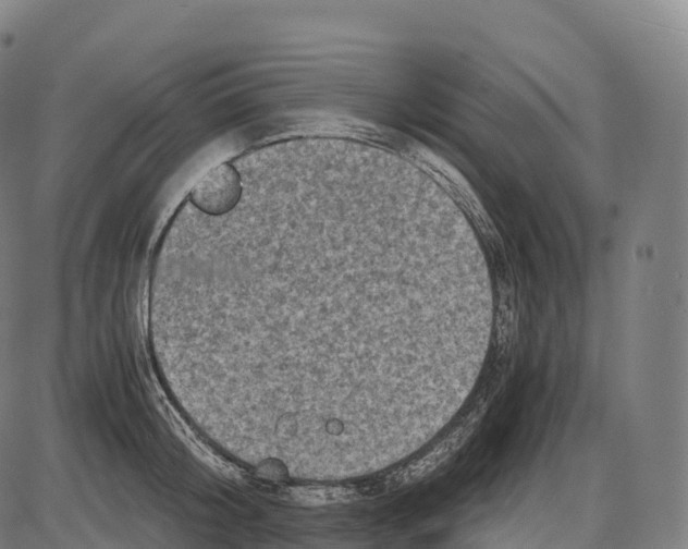 X0000084000804200703161647