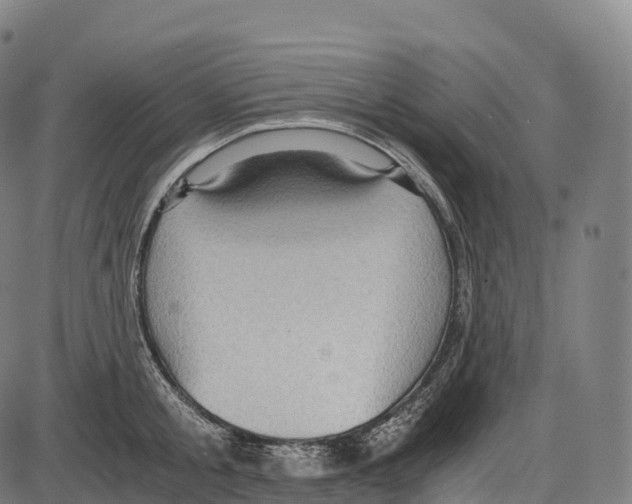 X0000084000805200703161647