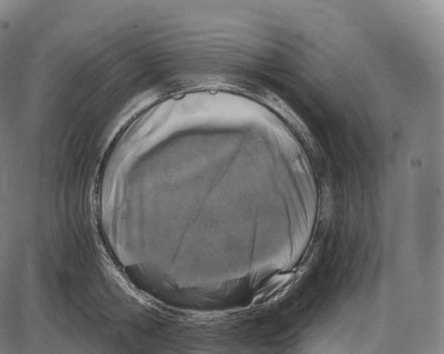 X0000084000806200703161647