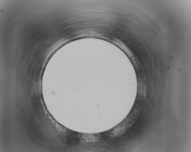 X0000084000807200703161647